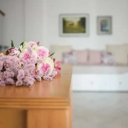 La Casa Di Mimmi شقة